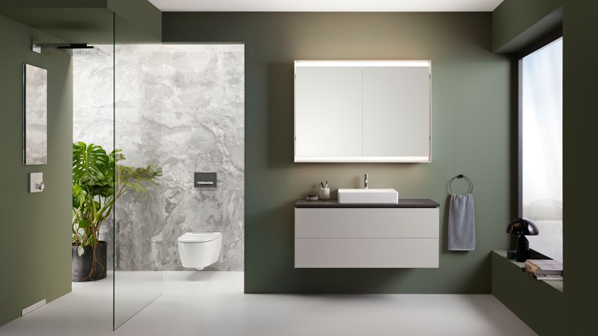 Geberit concealed cistern system installed with a modern wall-hung toilet.